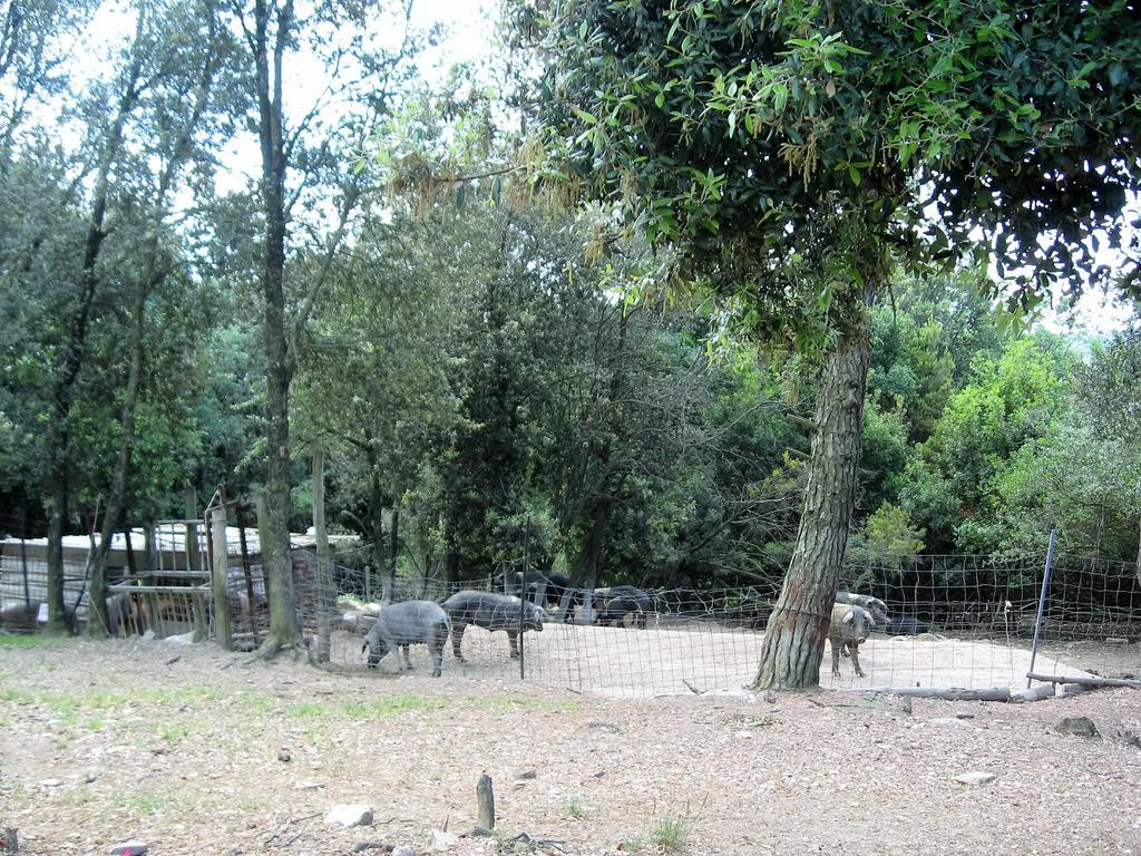 סאסטה Tenuta La Bandita מראה חיצוני תמונה